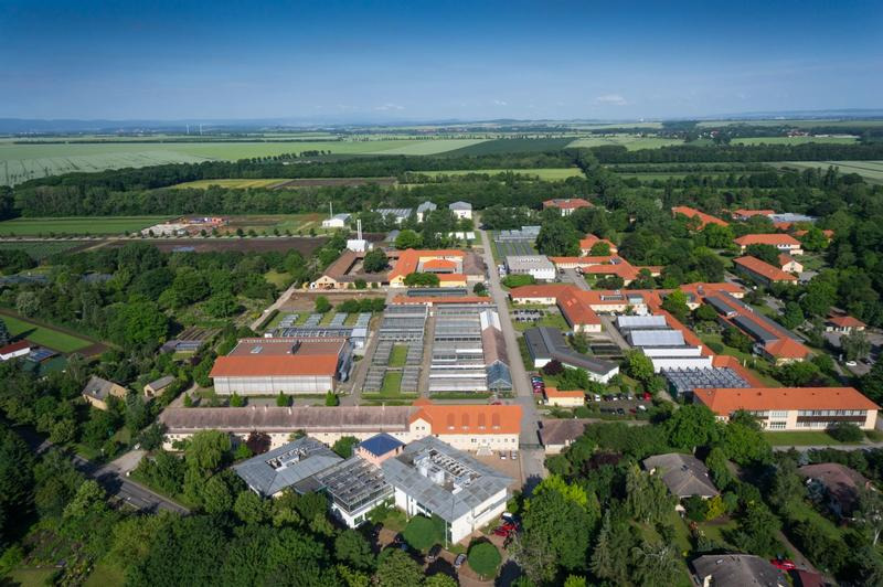 Aerial view: Gatersleben (Source: IPK Gatersleben)